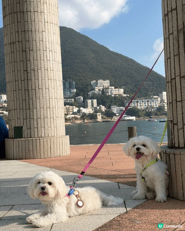 從海洋公園地鐵站出發至赤柱是一條輕鬆的港島南岸行山路線，約需...