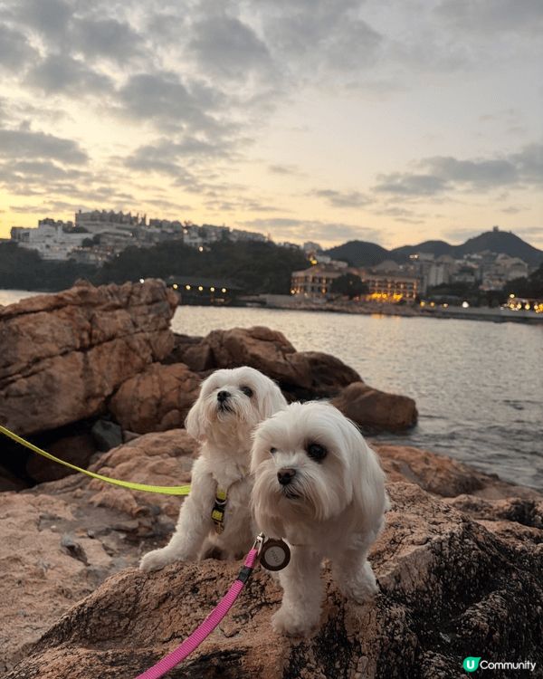 從海洋公園地鐵站出發至赤柱是一條輕鬆的港島南岸行山路線，約需...