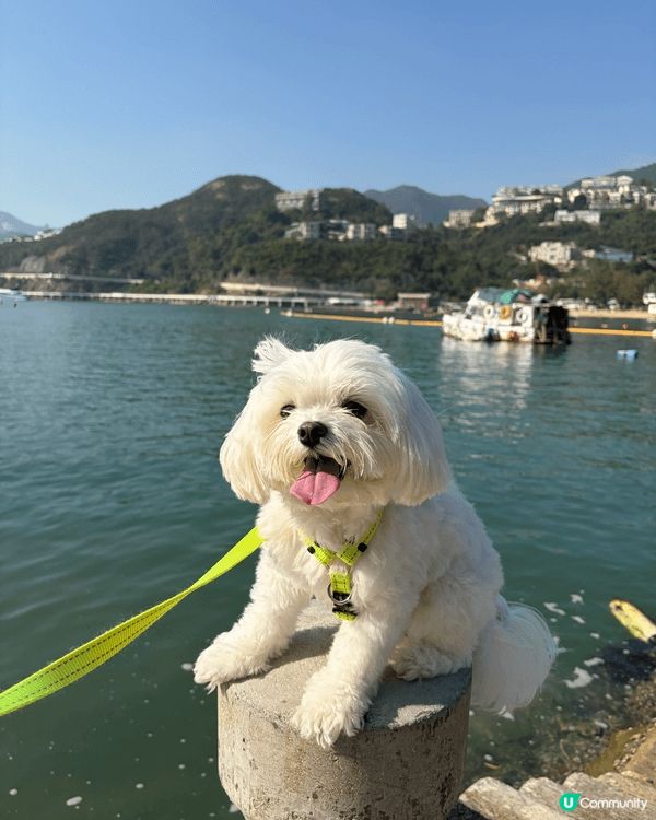 從海洋公園地鐵站出發至赤柱是一條輕鬆的港島南岸行山路線，約需...