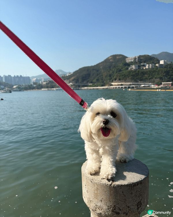 從海洋公園地鐵站出發至赤柱是一條輕鬆的港島南岸行山路線，約需...