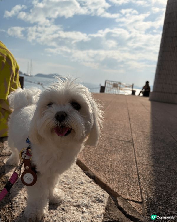 從海洋公園地鐵站出發至赤柱是一條輕鬆的港島南岸行山路線，約需...