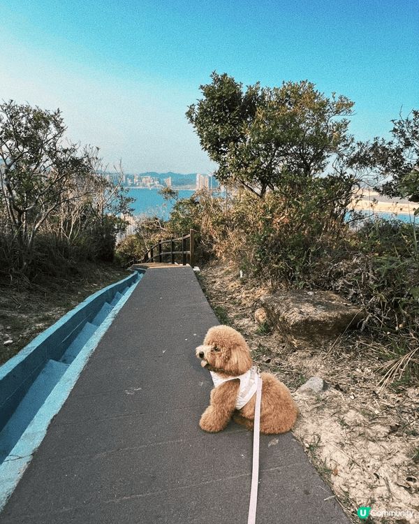 這張照片拍攝於砵甸乍山徑，沿途可眺望大浪灣海岸與山巒，景色壯...