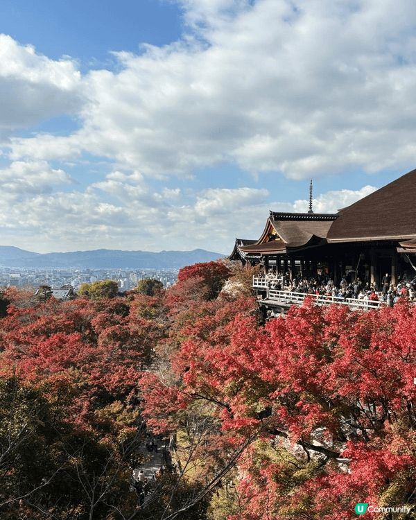上年11月去左大阪睇楓葉, 今次係我第一次去清水寺, 真係比...