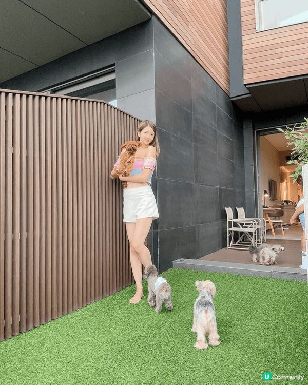 過往去了泰國旅行仍都有帶家中三隻狗狗到不同香港pet fri...