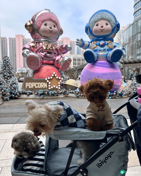 過往去了泰國旅行仍都有帶家中三隻狗狗到不同香港pet fri...