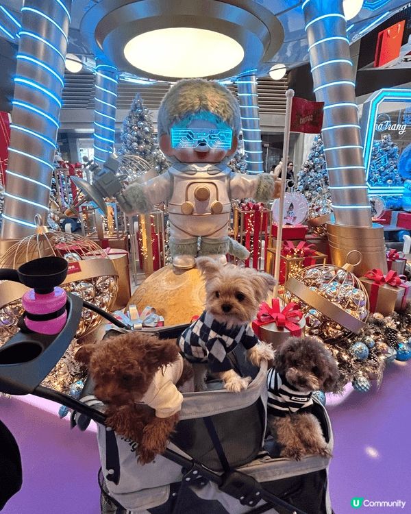 過往去了泰國旅行仍都有帶家中三隻狗狗到不同香港pet fri...