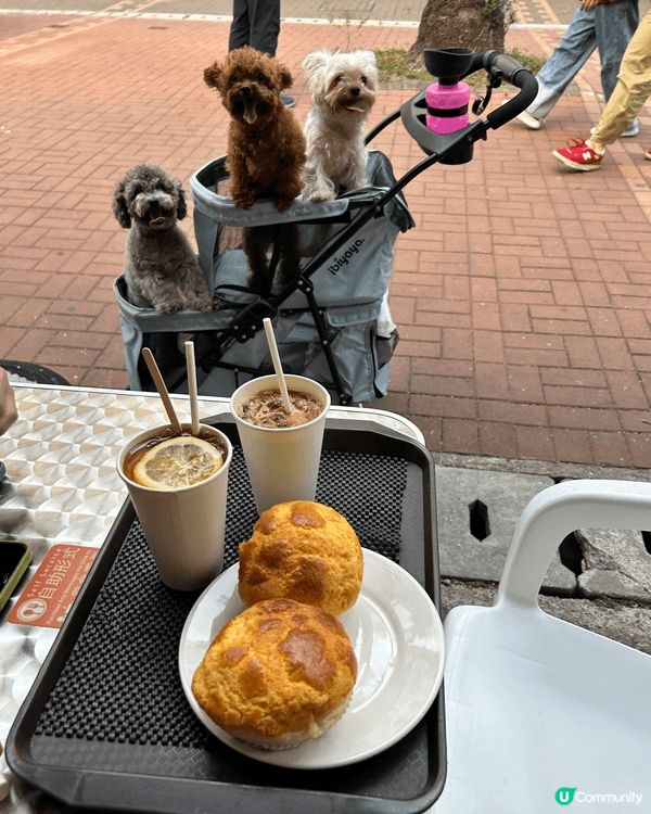 過往去了泰國旅行仍都有帶家中三隻狗狗到不同香港pet fri...