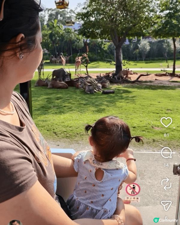 去咗廣州,去長隆野生動物世界睇動物大遷徙餵長頸鹿,仲有我哋體...