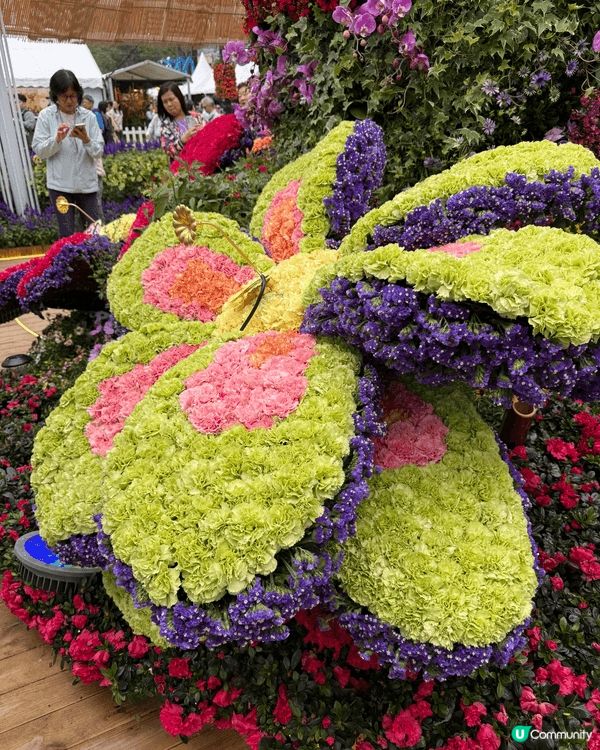 香港維園花展2026～ 每年吸引不少港人及遊客觀賞，今年有不...