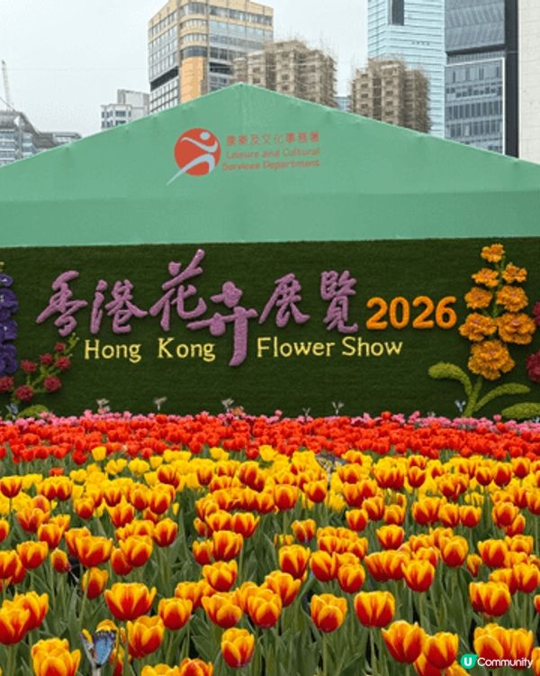 香港維園花展2026～ 每年吸引不少港人及遊客觀賞，今年有不...