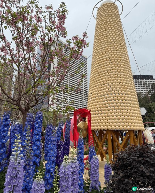 香港維園花展2026～ 每年吸引不少港人及遊客觀賞，今年有不...