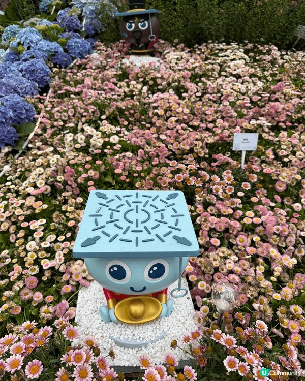 香港維園花展2026～ 每年吸引不少港人及遊客觀賞，今年有不...