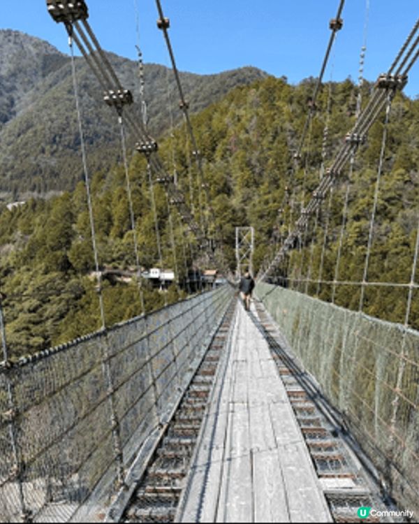 呢到係日本大板既谷瀨橋 推薦黎呢到去賞櫻花