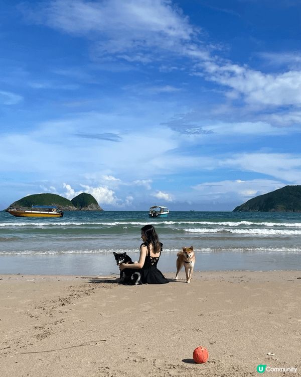 陪伴多年的柴犬突然離開,那段日子,世界好像瞬間失去了色彩｡