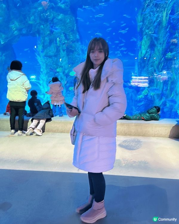 不一樣的韓國 參加五天韓國團 五天都有精彩新景點 江道滑雪場...