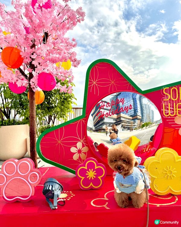 相片一至四為朗豪坊4樓食通天、唔同節日時段都有唔同嘅主題佈置...