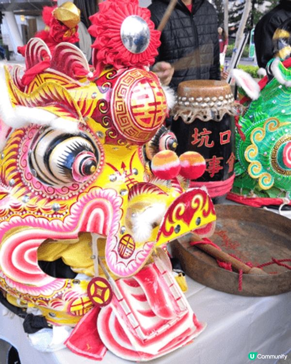 大埔許願樹拋橙上樹祈求了結心願，每年農曆新年都花50元去拋，...