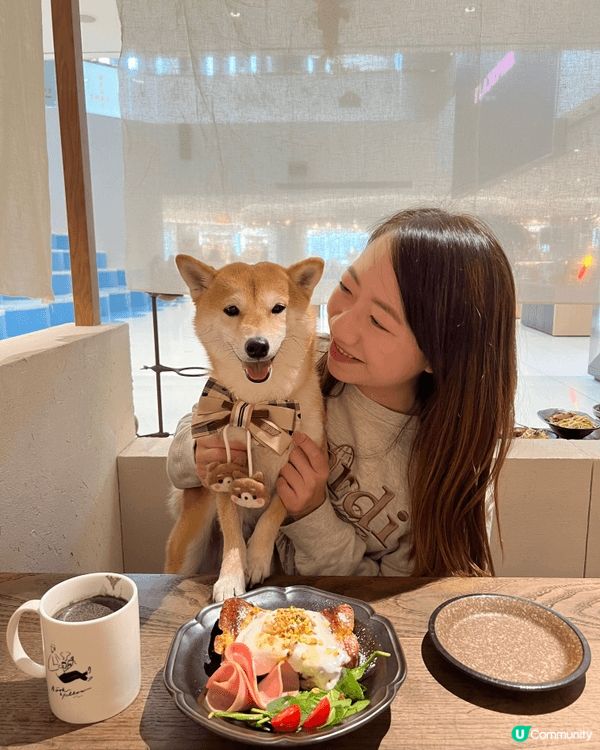 以上張圖分別是介紹不同的產品及地方😆😆