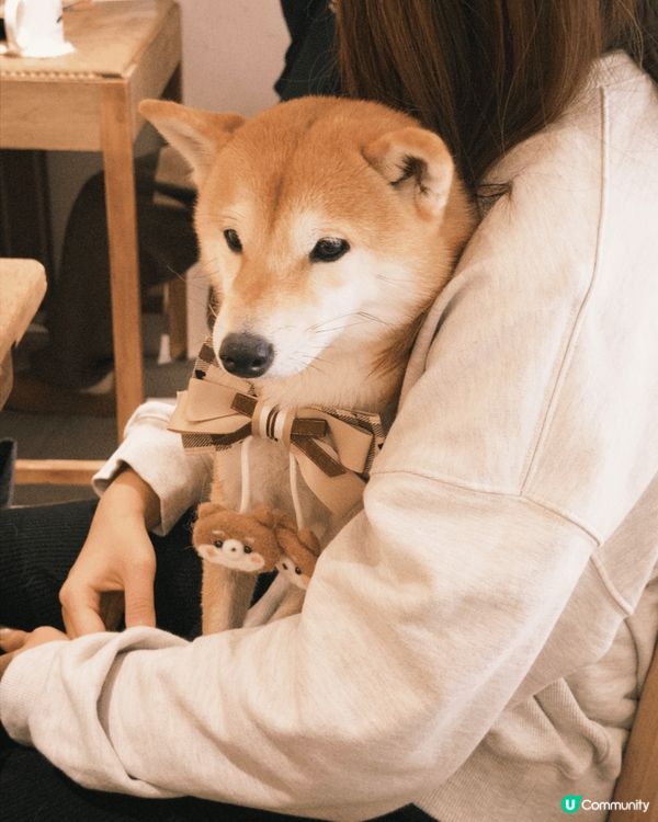 以上張圖分別是介紹不同的產品及地方😆😆