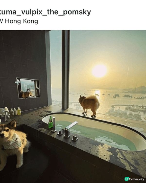 Staycations at our fave Rosewo...