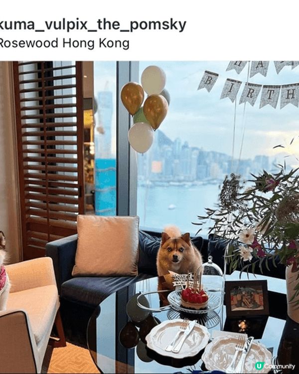 Staycations at our fave Rosewo...