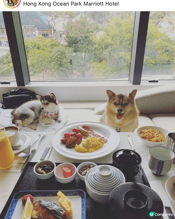 Staycations at our fave Rosewo...