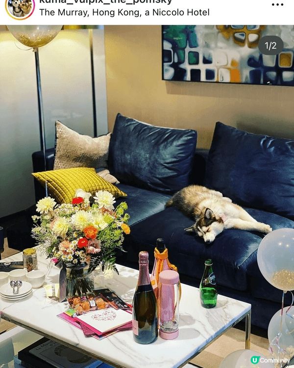 Staycations at our fave Rosewo...