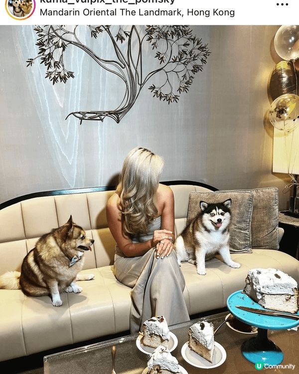 Staycations at our fave Rosewo...