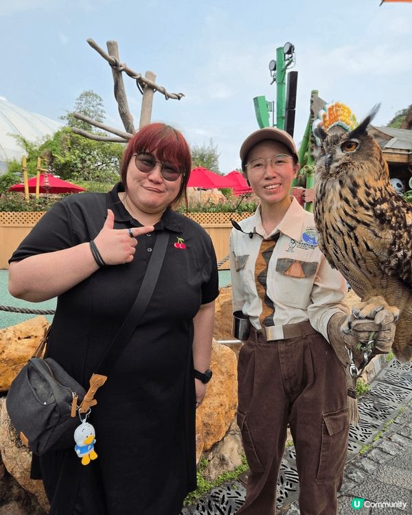 去玩去癲當然去ocean park  ，有cute 動物又有...