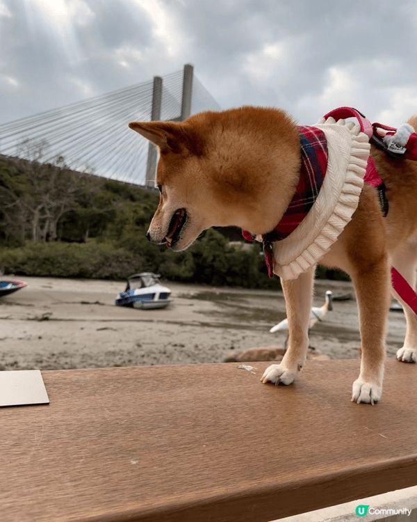 馬灣， 基本上整個地都可以隨意行走，並且隨意拍照都已經很漂亮...
