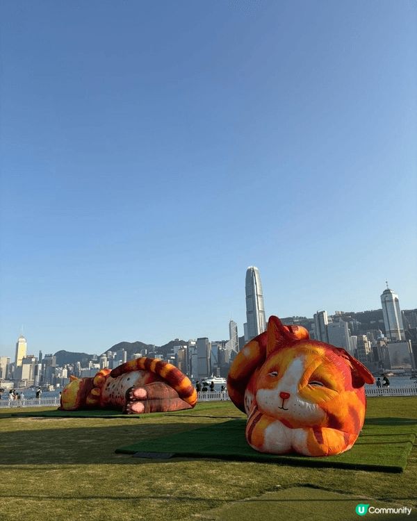 西九文化區坐擁維港海景，夕陽下漫步海濱長廊，還有一片草地，間...