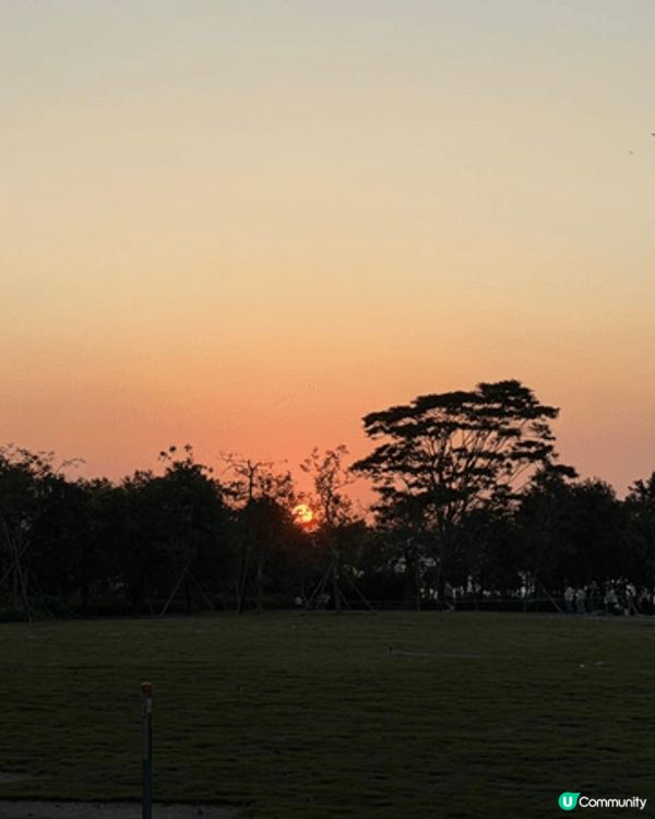 西九文化區坐擁維港海景，夕陽下漫步海濱長廊，還有一片草地，間...