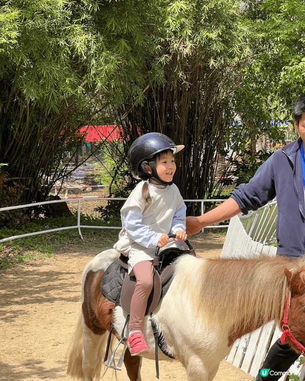 我地去左上海動物園 ，6歲以下唔收費，大人票價人民幣40，抵...