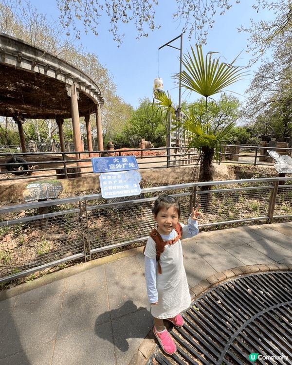 我地去左上海動物園 ，6歲以下唔收費，大人票價人民幣40，抵...