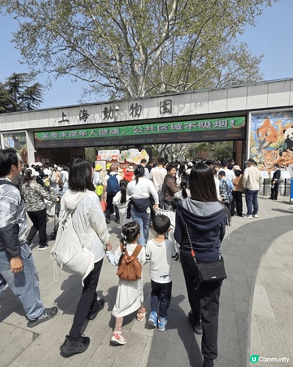 我地去左上海動物園 ，6歲以下唔收費，大人票價人民幣40，抵...