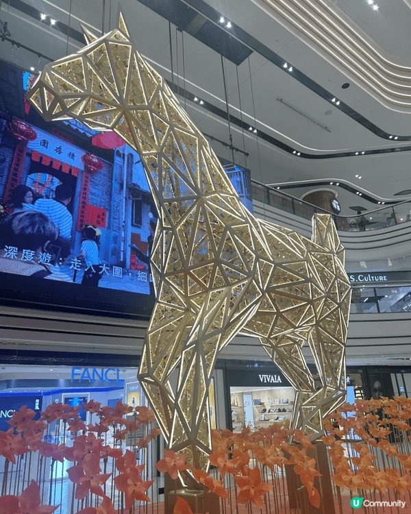 圍方金色馬仔裝置