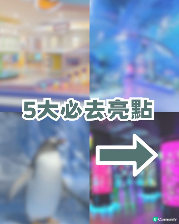 深圳親子海洋館¥198起一票暢玩！180° 全景海底隧道/ 美人魚表演