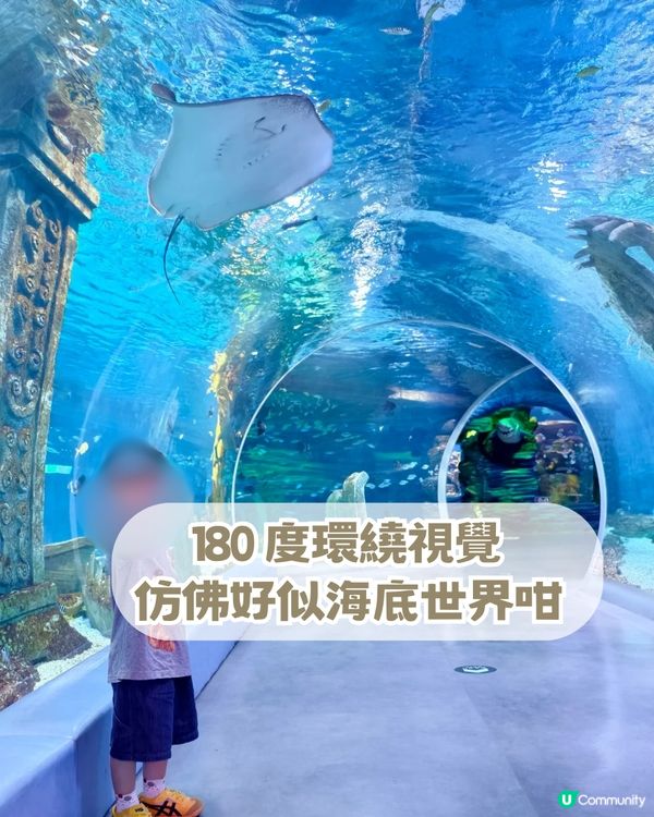 深圳親子海洋館¥198起一票暢玩！180° 全景海底隧道/ 美人魚表演