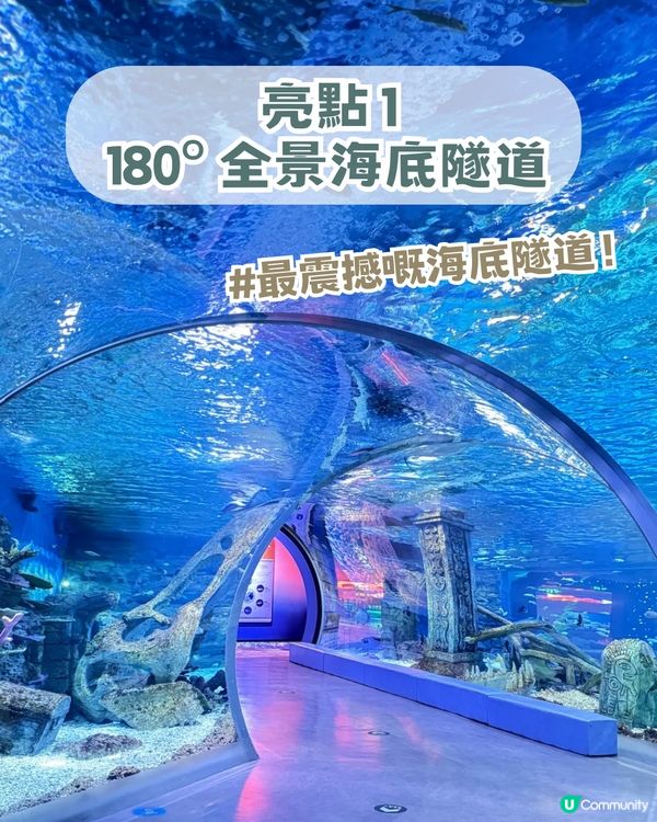 深圳親子海洋館¥198起一票暢玩！180° 全景海底隧道/ 美人魚表演