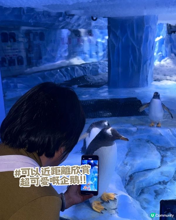 深圳親子海洋館¥198起一票暢玩！180° 全景海底隧道/ 美人魚表演