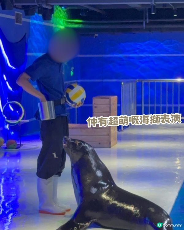 深圳親子海洋館¥198起一票暢玩！180° 全景海底隧道/ 美人魚表演