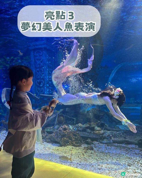 深圳親子海洋館¥198起一票暢玩！180° 全景海底隧道/ 美人魚表演