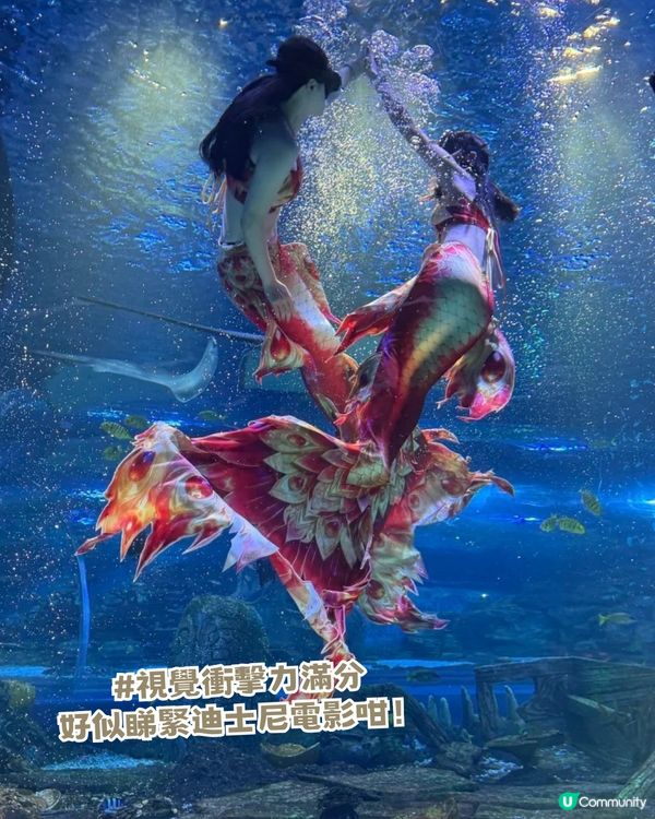 深圳親子海洋館¥198起一票暢玩！180° 全景海底隧道/ 美人魚表演