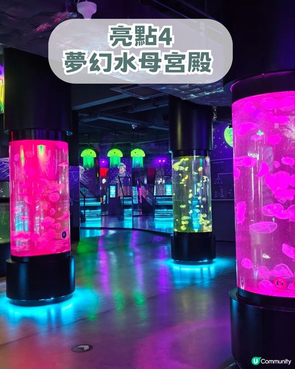 深圳親子海洋館¥198起一票暢玩！180° 全景海底隧道/ 美人魚表演