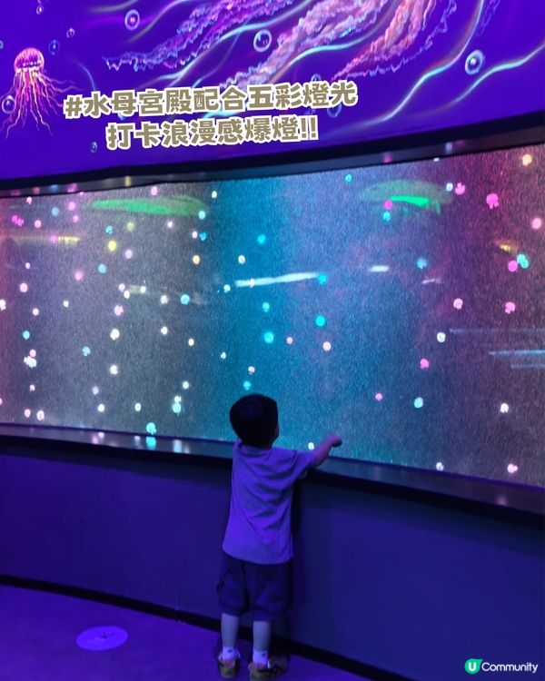 深圳親子海洋館¥198起一票暢玩！180° 全景海底隧道/ 美人魚表演