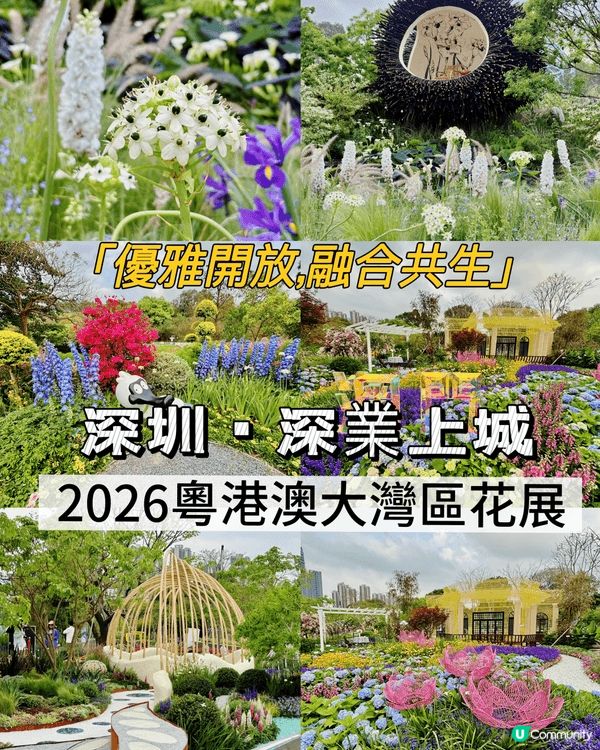 週末我同家人去咗深圳深業上城睇大灣區花展,園區真係好大,我哋...