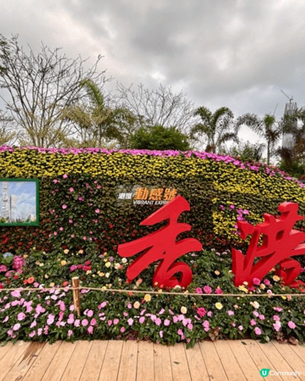 週末我同家人去咗深圳深業上城睇大灣區花展,園區真係好大,我哋...