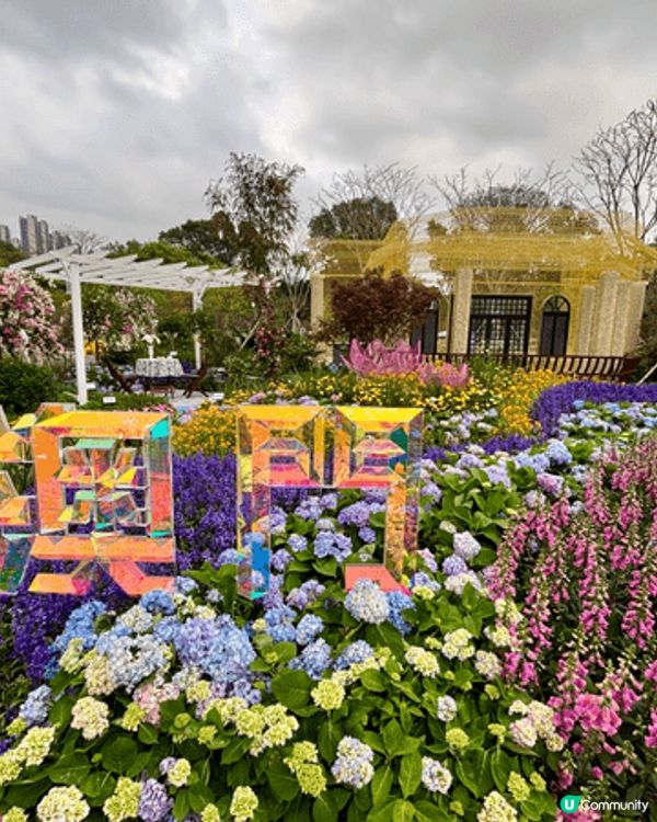 週末我同家人去咗深圳深業上城睇大灣區花展,園區真係好大,我哋...