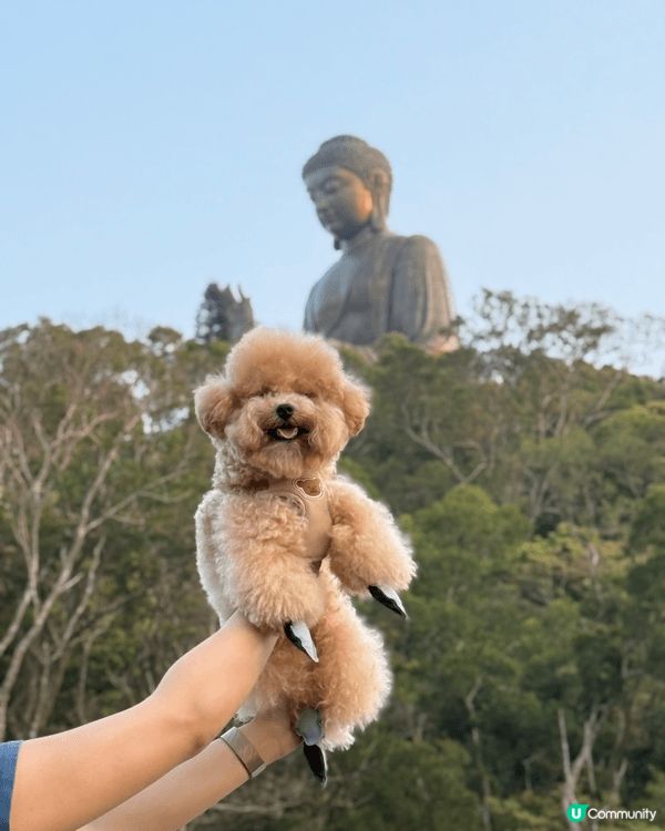 難得抽到大嶼山自駕遊😗當然要同我最愛嘅布布（我嘅小狗）仲有一...