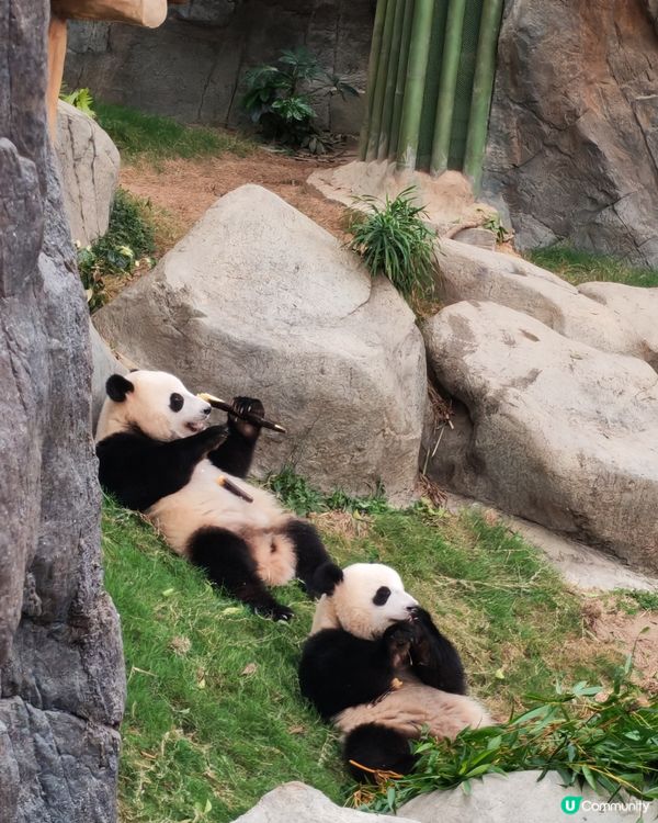 勁Fun海洋公園一日遊😊